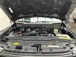 New 2025 Ford F-250 XLT Regular Cab 4WD Pickup for sale #25F149 - photo 21