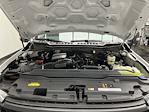 2025 Ford F-350 Regular Cab SRW 4WD Pickup for sale #25F158 - photo 22
