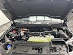 2025 Ford F-150 SuperCrew Cab 4WD Pickup for sale #25F170 - photo 29
