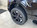 2025 Ford F-150 SuperCrew Cab 4WD Pickup for sale #25F188 - photo 34