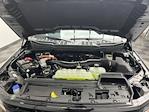 2025 Ford F-150 SuperCrew Cab 4WD Pickup for sale #25F194 - photo 29