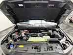 2025 Ford F-150 SuperCrew Cab 4WD Pickup for sale #25F203 - photo 29