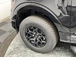 2025 Ford F-150 SuperCrew Cab 4WD Pickup for sale #25F203 - photo 36