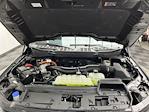 2025 Ford F-150 SuperCrew Cab 4WD Pickup for sale #25F209 - photo 29