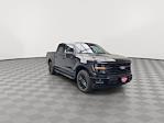 2025 Ford F-150 SuperCrew Cab 4WD Pickup for sale #25F209 - photo 36