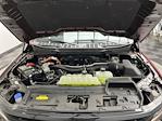 2025 Ford F-150 SuperCrew Cab 4WD Pickup for sale #25F231 - photo 33