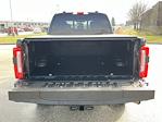 2024 Ford F-350 Crew Cab SRW 4WD Pickup for sale #25F245A - photo 31