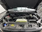 2025 Ford F-150 SuperCrew Cab 4WD Pickup for sale #25F248 - photo 28