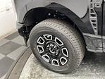 2025 Ford F-250 Crew Cab 4WD Pickup for sale #25F258 - photo 38