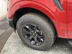 2025 Ford F-150 SuperCrew Cab 4WD Pickup for sale #25F278 - photo 28