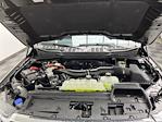 2025 Ford F-150 SuperCrew Cab 4WD Pickup for sale #25F279 - photo 31