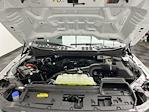 2025 Ford F-150 SuperCrew Cab 4WD Pickup for sale #25F286 - photo 23