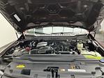 2025 Ford F-350 Crew Cab SRW 4WD Pickup for sale #25F388 - photo 32