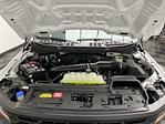 2025 Ford F-150 Regular Cab 4WD Pickup for sale #25F395 - photo 21
