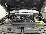2025 Ford F-250 Crew Cab 4WD Pickup for sale #25F399 - photo 31
