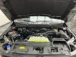 2025 Ford F-150 SuperCrew Cab 4WD Pickup for sale #25F400 - photo 28
