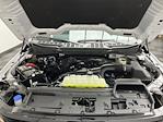 2025 Ford F-150 SuperCrew Cab 4WD Pickup for sale #25F401 - photo 28