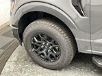 2025 Ford F-150 SuperCrew Cab 4WD Pickup for sale #25F454 - photo 32