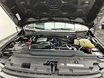 2025 Ford F-250 Crew Cab 4WD Pickup for sale #25F482 - photo 25