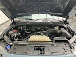 2023 Ford F-150 SuperCrew Cab 4WD Pickup for sale #25F509A - photo 20