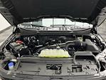 2025 Ford F-150 Super Cab 4WD Pickup for sale #25F520 - photo 25
