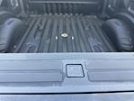 2020 Ford F-250 Crew Cab 4WD Pickup for sale #25F563A - photo 14