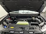 2025 Ford F-150 SuperCrew Cab 4WD Pickup for sale #25F572 - photo 30