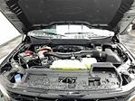 2025 Ford F-150 SuperCrew Cab 4WD Pickup for sale #25F62 - photo 29