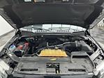 2015 Ford F-150 Super Cab 4WD Pickup for sale #25F635A - photo 25