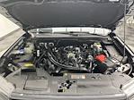 2024 Ford Ranger SuperCrew Cab 4WD Pickup for sale #25F726A - photo 30