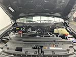 2024 Ford F-250 Crew Cab 4WD Pickup for sale #26B37A - photo 16