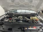 2023 Ford F-350 Crew Cab SRW 4WD Pickup for sale #26F143A - photo 36