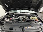 2025 Ford F-250 Crew Cab 4WD Pickup for sale #26F30A - photo 28