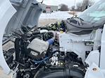2026 Ford F-650 Regular Cab DRW RWD Cab Chassis for sale #26F77 - photo 18
