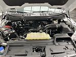 2024 Ford F-150 SuperCrew Cab 4WD Pickup for sale #T6716 - photo 27