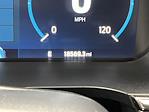 2023 Ford F-150 SuperCrew Cab 4WD Pickup for sale #T6908 - photo 19