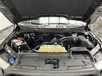 2023 Ford F-150 SuperCrew Cab 4WD Pickup for sale #T6910 - photo 28