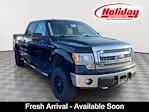 2014 Ford F-150 SuperCrew Cab 4WD Pickup for sale #T6916B - photo 1