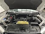 2020 Ford F-150 SuperCrew Cab 4WD Pickup for sale #T7045A - photo 4