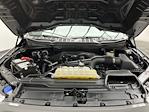 2021 Ford F-150 SuperCrew Cab 4WD Pickup for sale #T7102 - photo 25