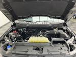 2024 Ford F-150 SuperCrew Cab 4WD Pickup for sale #T7401 - photo 34