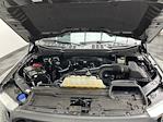 2023 Ford F-150 Super Cab 4WD Pickup for sale #T7479 - photo 31