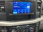 2024 Ford F-350 Regular Cab SRW 4WD Pickup for sale #T7842 - photo 13