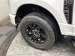 2024 Ford F-350 Regular Cab SRW 4WD Pickup for sale #T7842 - photo 26