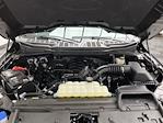 2024 Ford F-150 SuperCrew Cab 4WD Pickup for sale #T7934 - photo 18