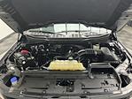 2024 Ford F-150 SuperCrew Cab 4WD Pickup for sale #T8392 - photo 22