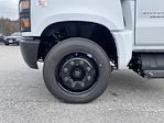 New 2023 Chevrolet Silverado 6500 LT Regular Cab Cab Chassis for sale #E12231 - photo 27