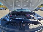 New 2026 Chevrolet Silverado 1500 Work Truck Regular Cab for sale #E13745 - photo 28