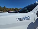 New 2026 Chevrolet Silverado 2500 High Country Crew Cab for sale #E13858 - photo 69