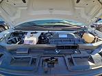 New 2025 Chevrolet Express 2500 Empty Cargo Van for sale #E13904 - photo 29